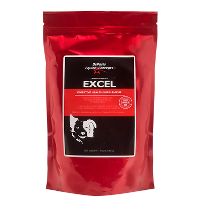 Canine Excel