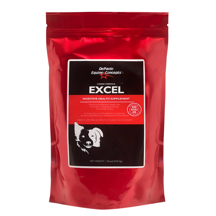 Canine Excel