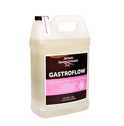 GastroFlow
