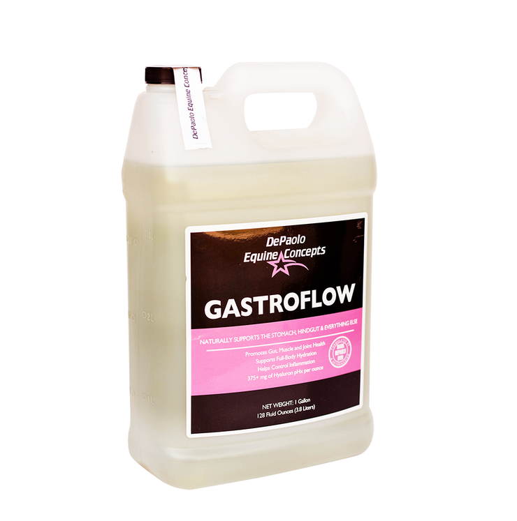 GastroFlow