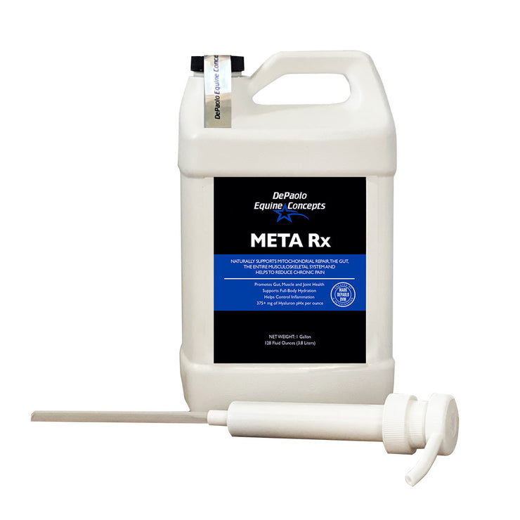 Meta Hn Rx Meta Rx – DePaolo Equine Concepts